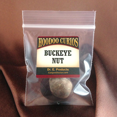 Buckeye Nut - Click Image to Close