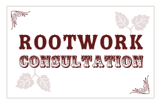Rootwork Consultation